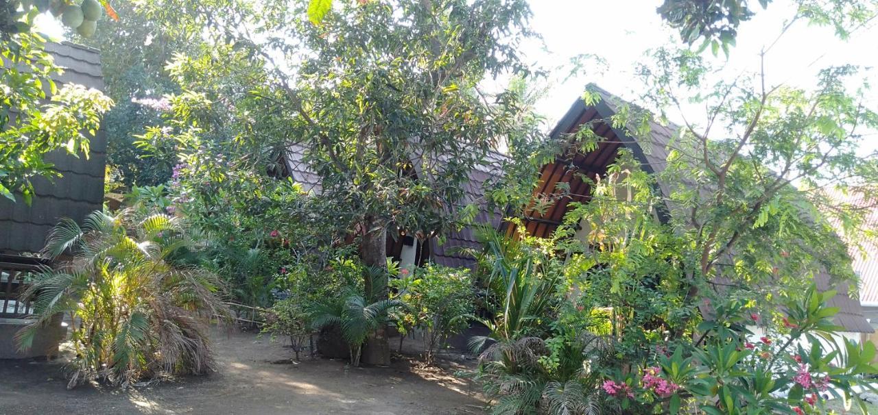 Hello Lumbung Homestay Gili Air Buitenkant foto